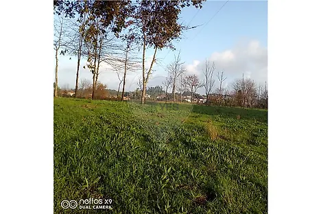 image-ARjsgQtUCL9-0