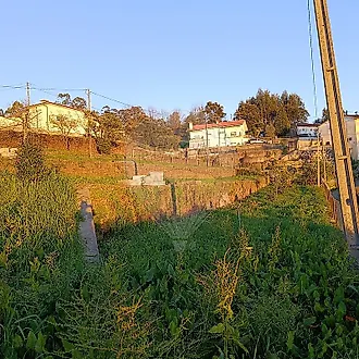 image-DWPcX8kX9Lc-0