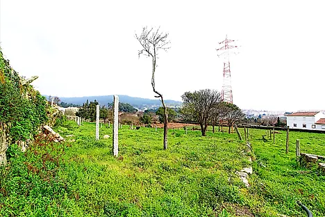 image-7619MavMQay-0