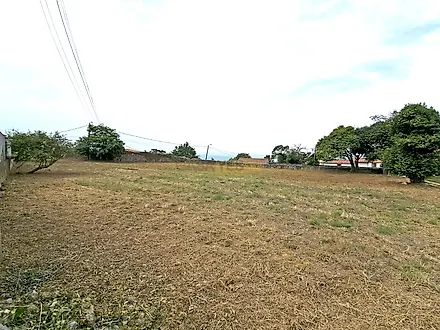 image-8bTSKyJeNGF-0