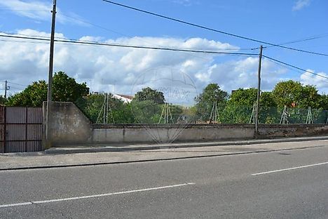 image-8Ae0oVztV89-0