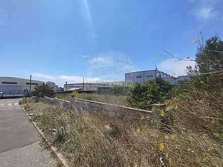 image-F2QlzJ5JSbo-0