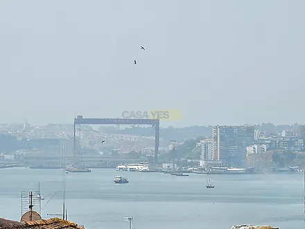 image-43mV6A3t8Vo-0