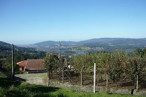 image-96EM0dQk2QM-0
