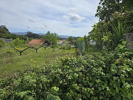 image-Hbgo3F21LAO-0