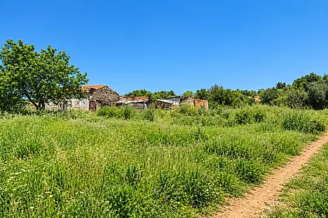 image-1HxFinINOsD-0