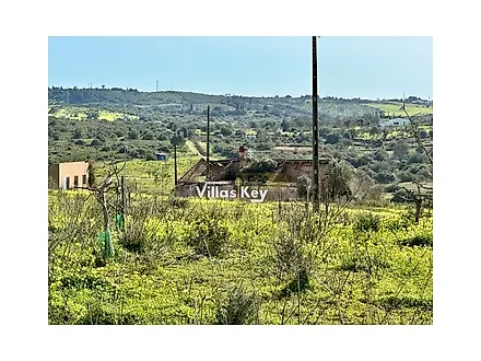image-AVQUzETPV5S-0