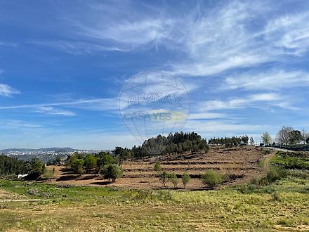 image-JTxgw0AtO3a-0