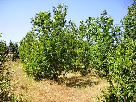 image-2zPGB0FBadq-0