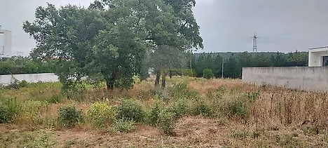 image-CqlFpK5cjCr-0
