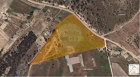 Land for sale in Coruche, Portugal — €195,000
