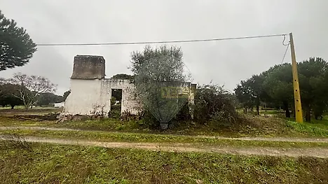image-5Ks1c7SZ21R-0