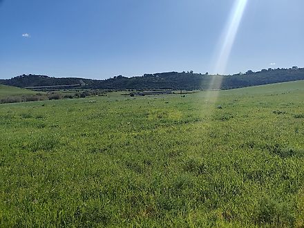 Terreno em Lagos