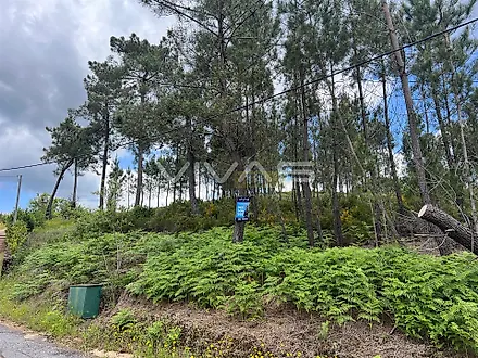 Terreno em Celorico de Basto