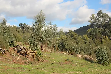 image-22y81r7qmhp-0