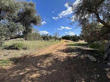 Land for sale in Portimão, Portugal — €2,500,000