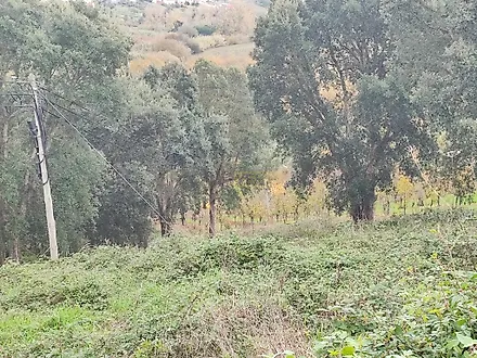image-IIK9J9BJ78r-0