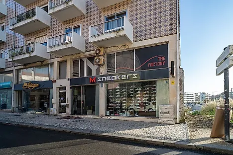 image-3IkyYtUoKG8-0