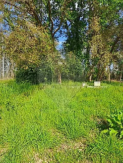image-GtIgXNubjJH-0