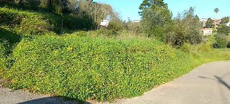 Land for sale in Coimbra, Portugal — €55,000