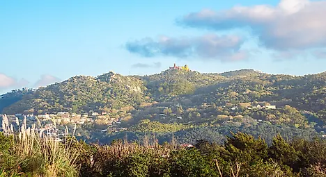 image-D87rS29FkXu-0