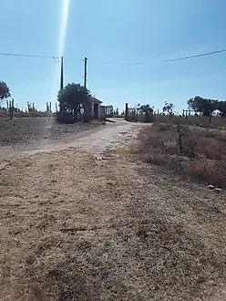 image-6b5WgA4Oxun-0