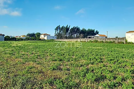 Land for sale in Vagos, Portugal — €225,000