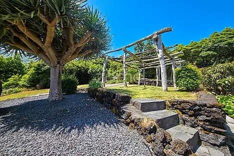 image-B1kgNsq4CJs-0