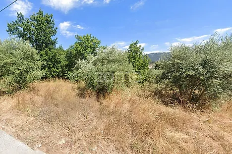 image-12A1XyXHyXO-0