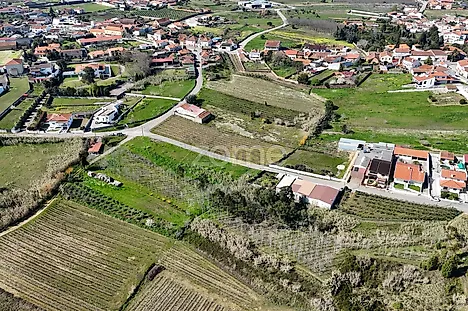 image-1lWJ6xovv9M-0
