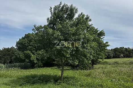 image-GaUa7EqmWcM-0