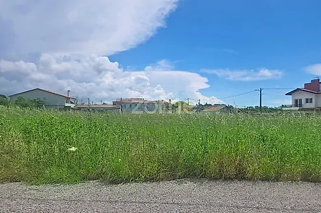 image-JEkk4V5ftX-0