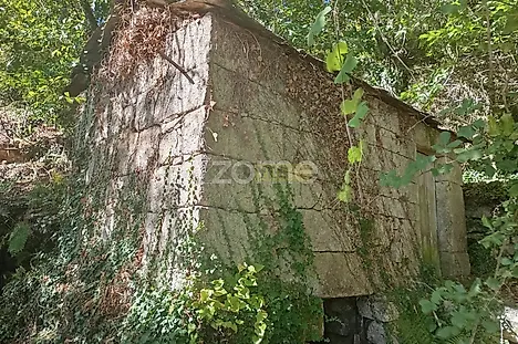 image-70LoxeAVtnX-0