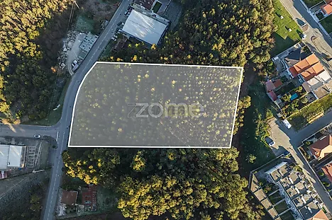 image-7xzUJcCxUea-0