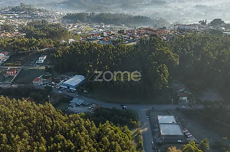 image-7xzUJcCxUea-0