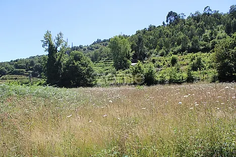 Land for sale in Guimarães, Portugal — €68,000