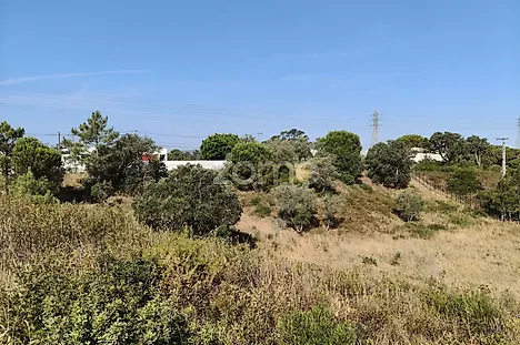 image-4mLl955Y1SU-0