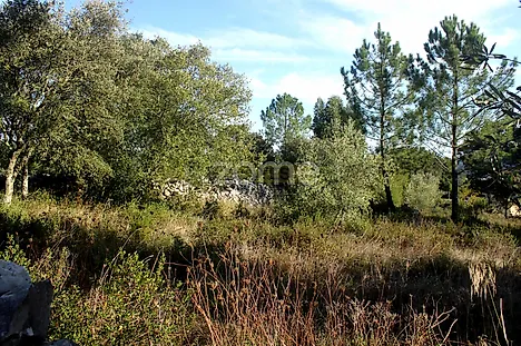 image-9x8FRgLjAoD-0
