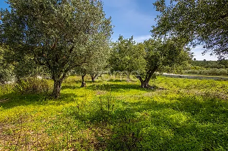 Land for sale in Batalha, Portugal — €80,000