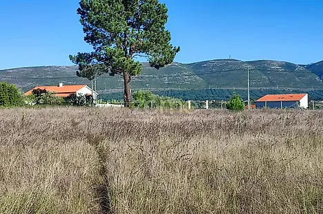 Land for sale in Alcobaça, Portugal — €115,000