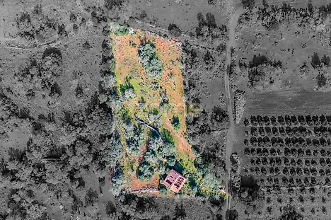 Land for sale in Silves, Portugal — €120,000