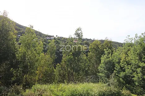 image-FOKbsVnDe5w-0