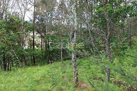 Land for sale in Oliveira de Azeméis, Portugal — €130,000