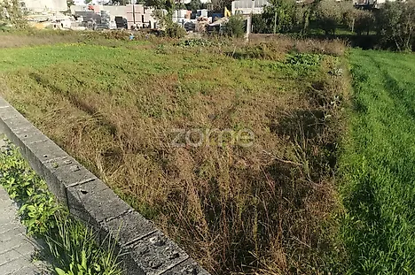 Terreno em Paredes
