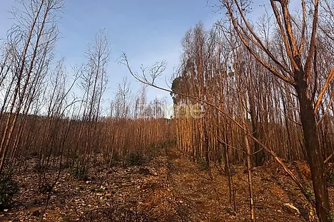 image-LJBLJdgzzoO-0