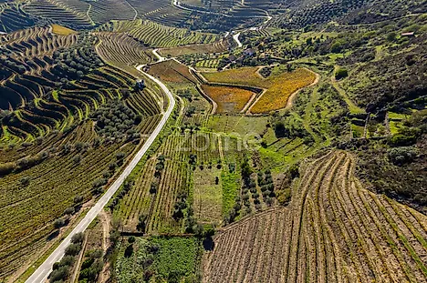 image-YPECTLLAoP-0