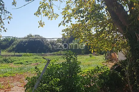 image-IR36djpPX3E-0