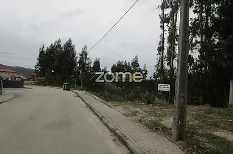 image-8dwO2N94fLQ-0