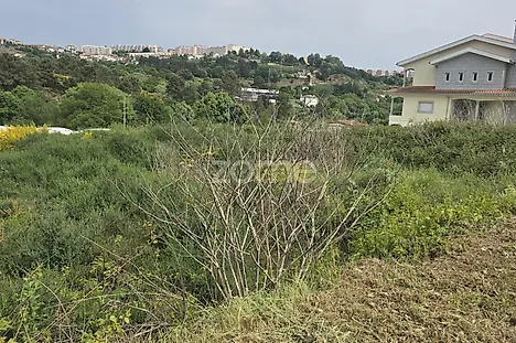image-3Novguf64P9-0