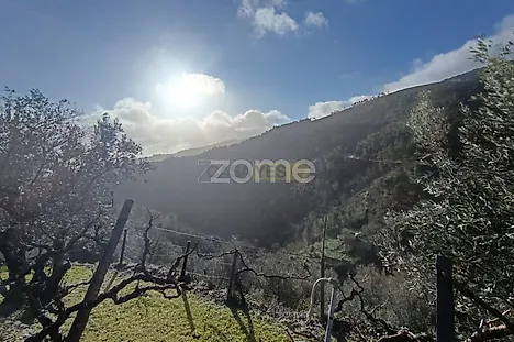 image-KO6GZt4Os7Z-0